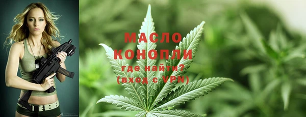 дмт Абаза