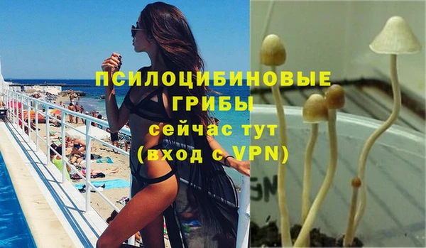 дмт Абаза
