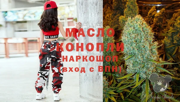 дмт Абаза