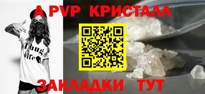 прущие грибы Малгобек