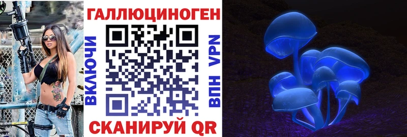 где можно купить наркотик  Вичуга  Псилоцибиновые грибы MAGIC MUSHROOMS 
