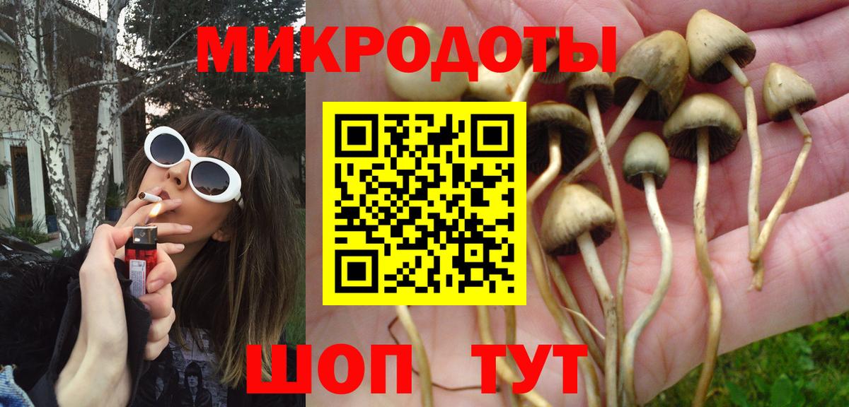 Псилоцибиновые грибы мухоморы  Вход с VPN  Вичуга  Псилоцибиновые грибы Magic Shrooms 