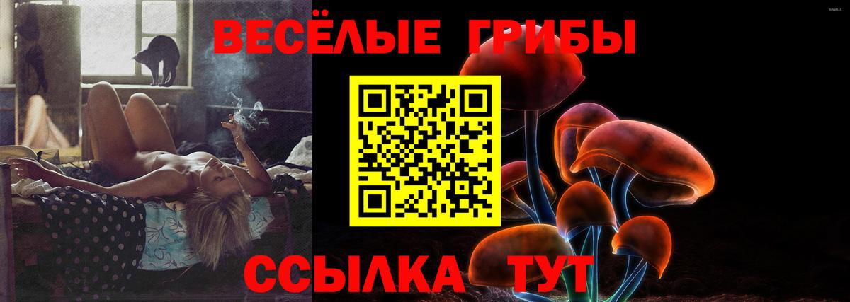 Псилоцибиновые грибы GOLDEN TEACHER Вичуга